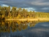 NATUR